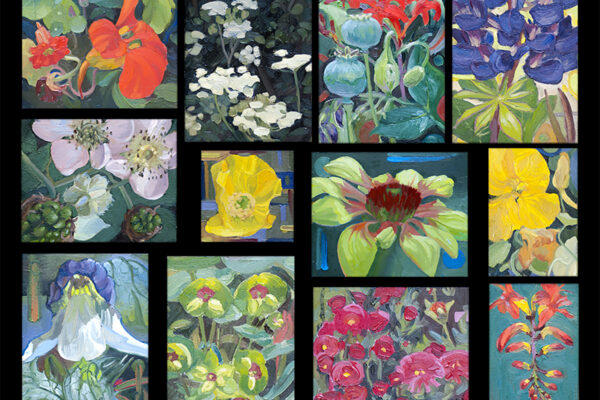 12 Flower Studies Group