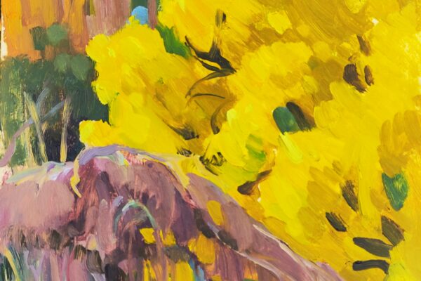 Autumn At Cockington Country Park