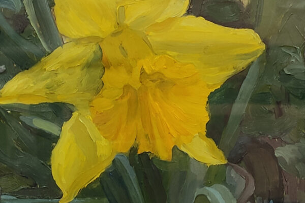 Daffodil 1 Scaled
