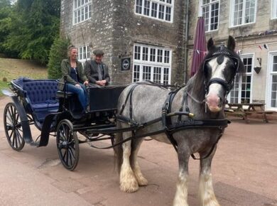 Cockington Court’s horse-drawn carriage rides return for the summer