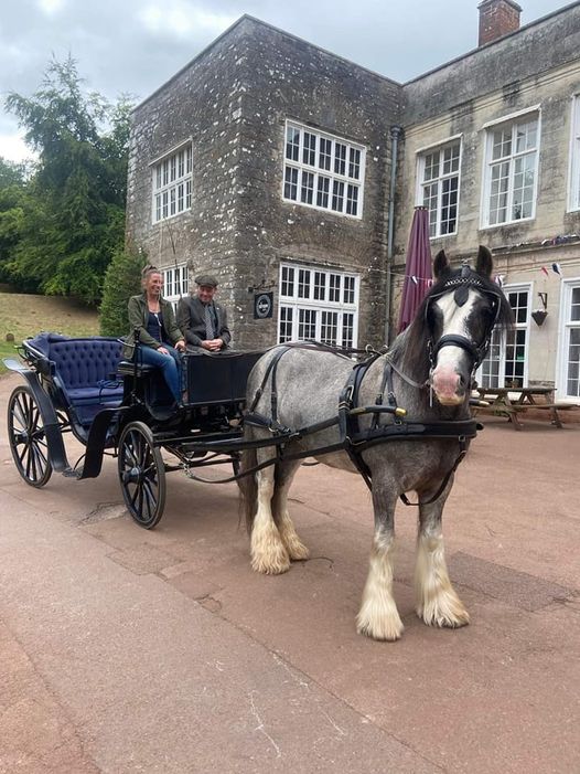 Cockington Court’s horse-drawn carriage rides return for the summer