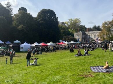 A View Across The Front Of Cockington Court At A Previous Apple Day.