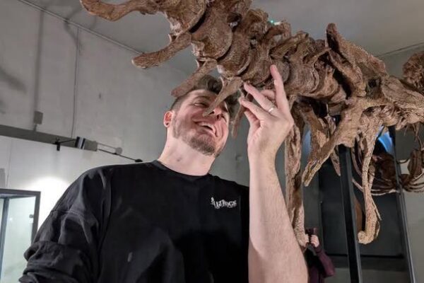 Alex Looking At Up At One Of The Studio'S Replica Dinosaur Skeletons.