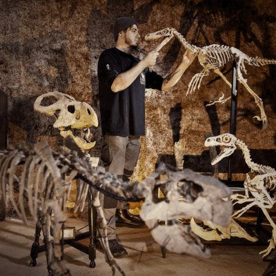 Alex Stood In The Background Of The Image. He Is Surrounded By Dinosaur Skeleton Replicas.
