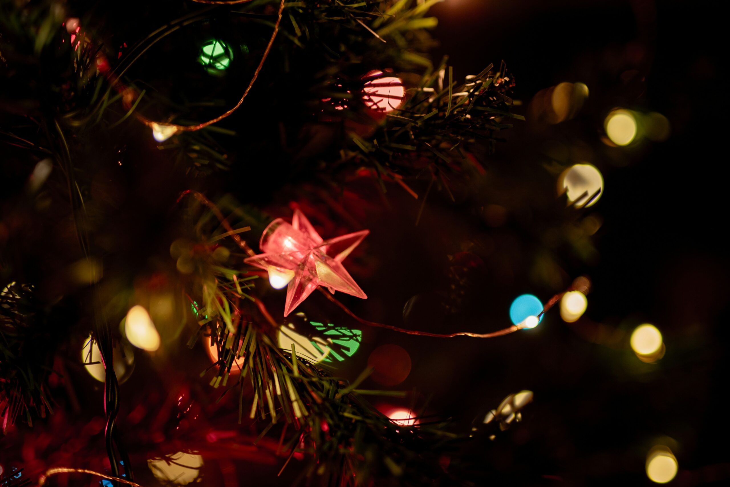 A close up of fairy lights on a Christmas tree.