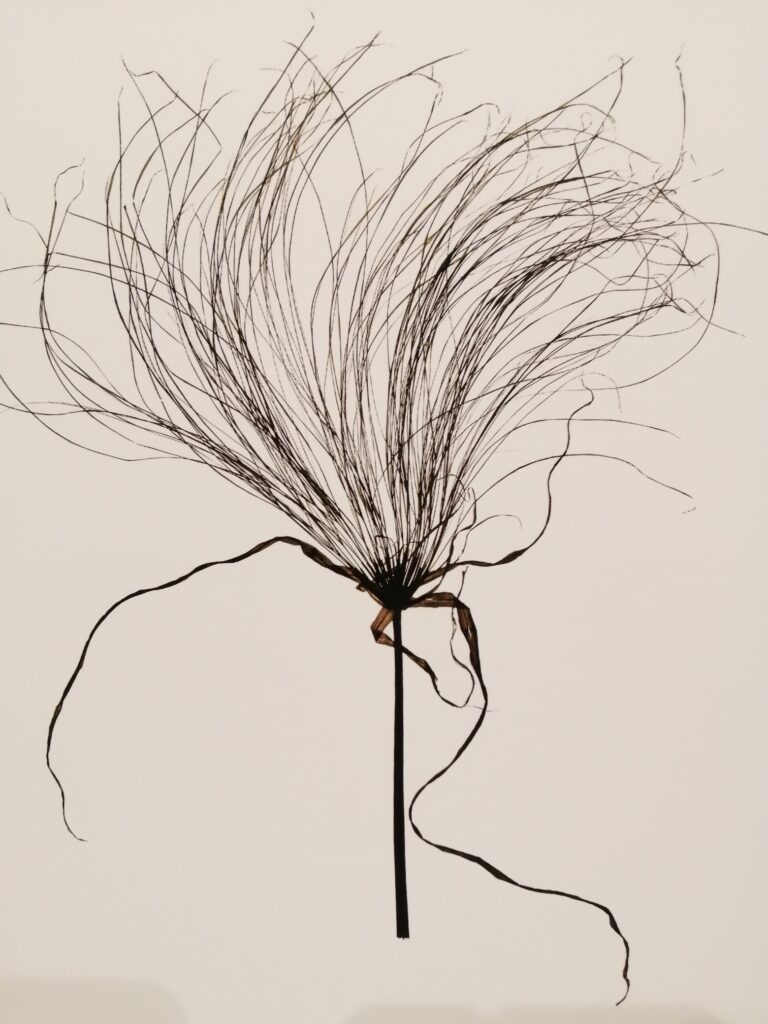 Flora Whispers Exhibition An Image Of Some Grass Like Flora On A Beige Background.